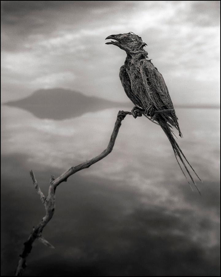 Natron 2